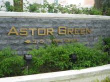 Astor Green #968902
